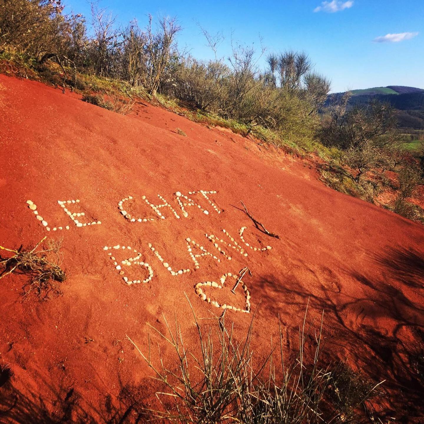 Le Chat Blanc Versols-et-Lapeyre Kültér fotó